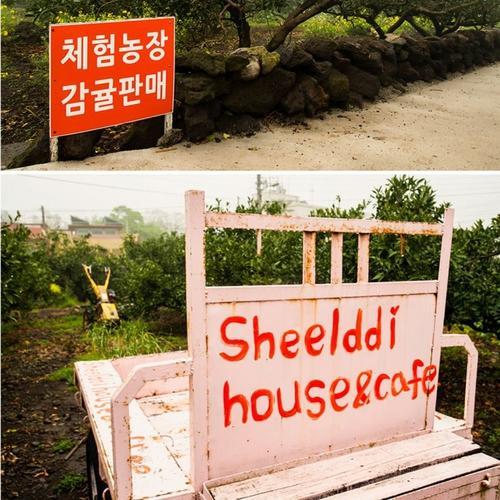 Sheelddi Pension Согвипхо Экстерьер фото